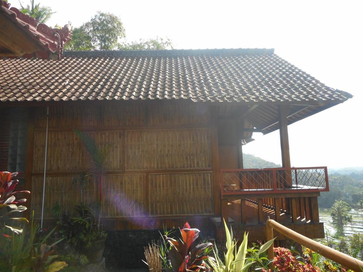 Villa Dukuh Selat Extérieur photo