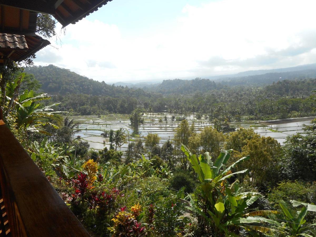 Villa Dukuh Selat Extérieur photo