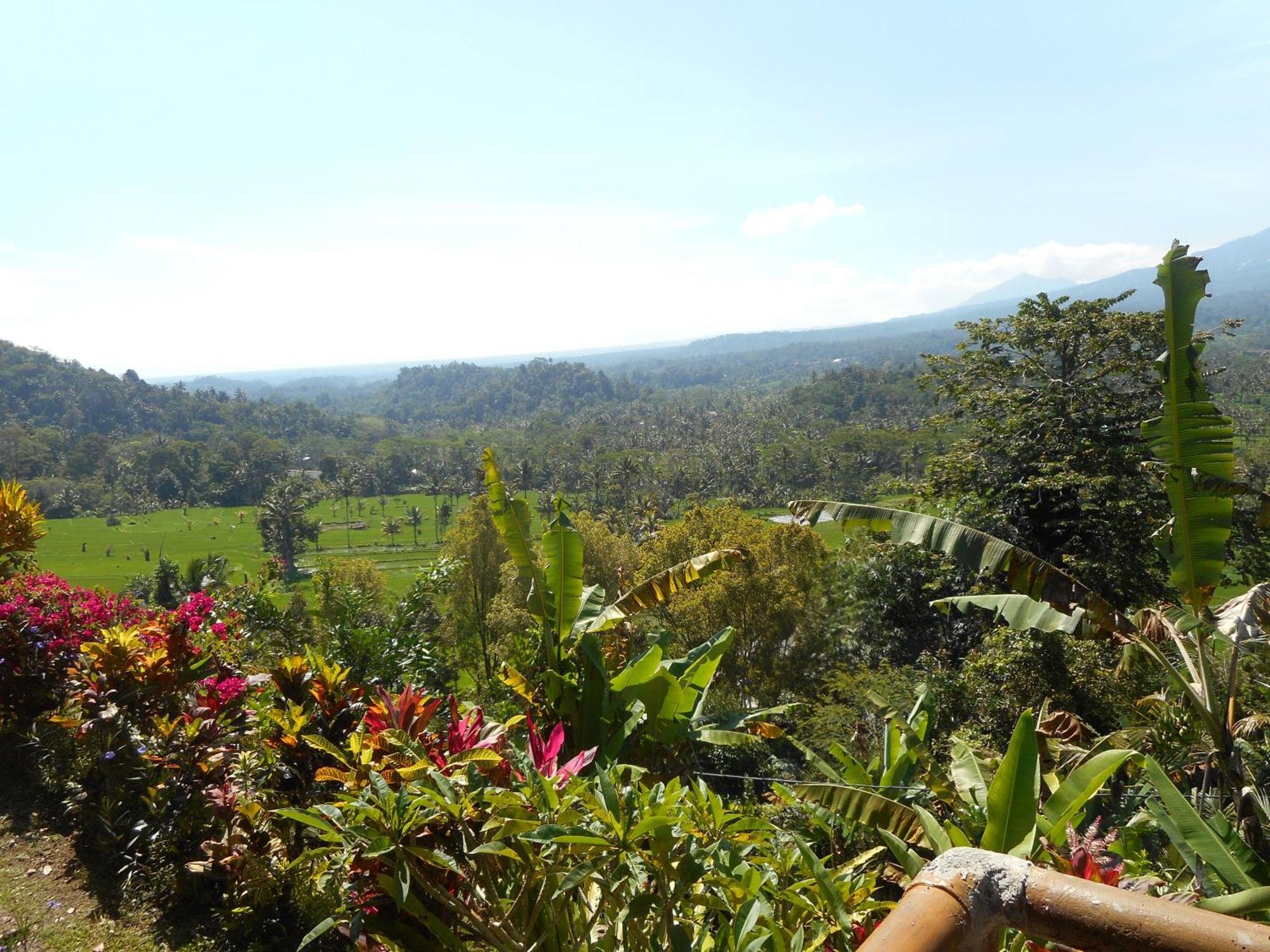 Villa Dukuh Selat Extérieur photo